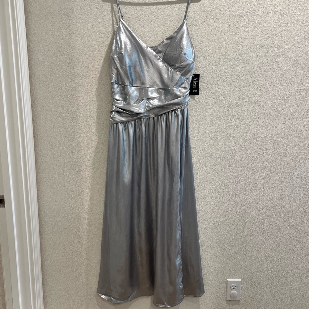 Alexa B Nites Dress (NWT)